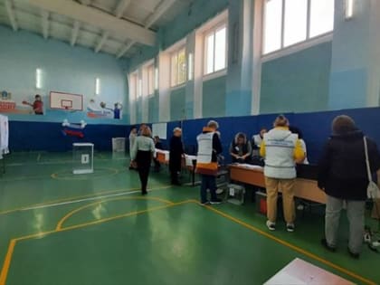 В Ульяновской области стартовал второй день Всероссийского голосования