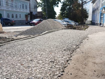 Сохранение деревьев в Ульяновске: глава города отреагировал на общественное мнение