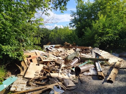 В Ульяновске уберут крупную свалку на Сельдинском шоссе
