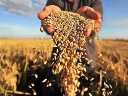Валерий Малышев поздравил ульяновских хлеборобов с намолотом 2 млн тонн зерна