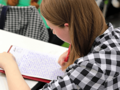 Как сдать ЕГЭ заграницей и получить поддержку. Ответы на актуальные вопросы