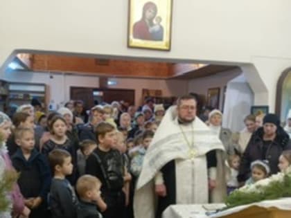 Рождественская ёлка в храме Рождества Христова села Крестово-Городище