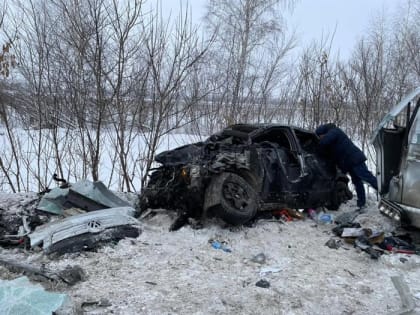 В смертельном ДТП в Самарской области погибла главный врач ульяновской больницы