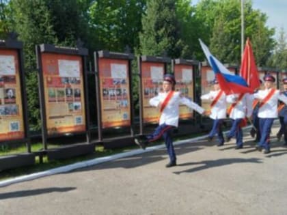 Собрали информацию, сделали стенды и привезли гильзы с землей. В Ульяновске открыли аллею Городов-Героев