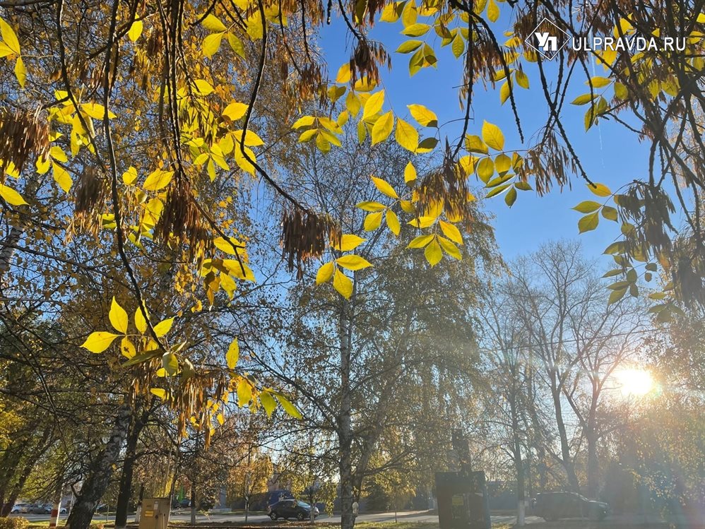 Безветренная погода 4. Без осадков. Безветренно. Солнечного воскресенья. Безветренная погода.