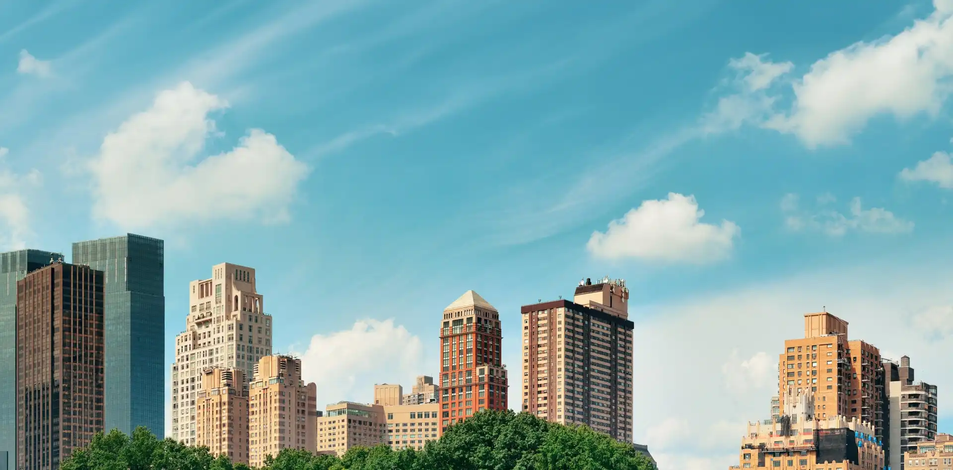 banner1