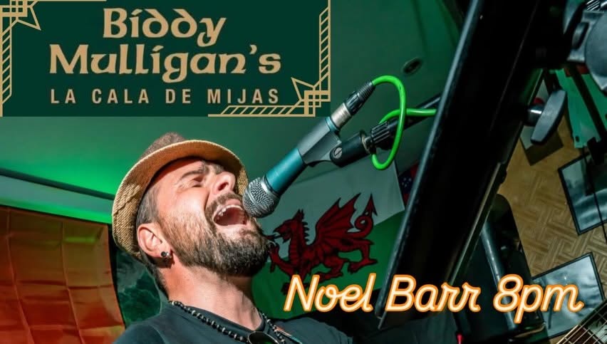 Live music at Biddy Mulligan's