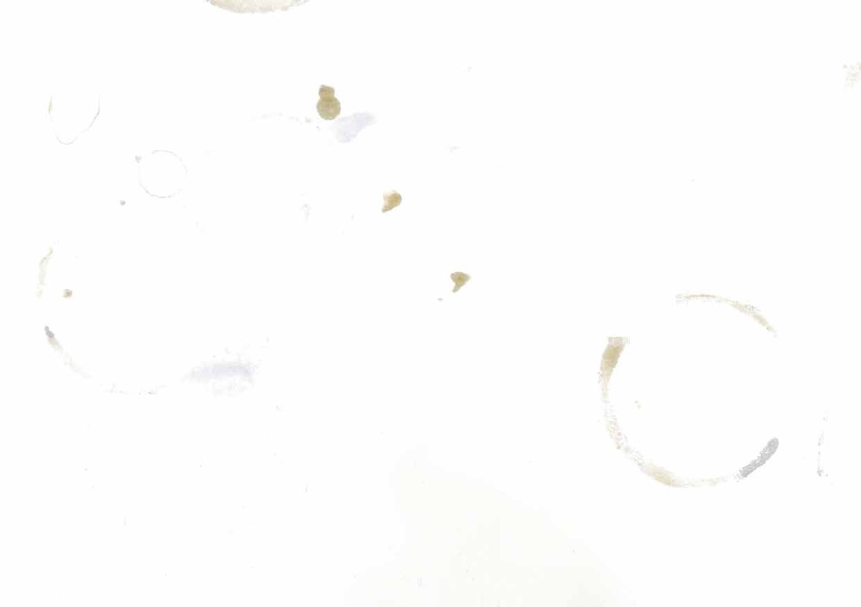 Ausstellungstext - Tipsy Tina Kunsthalle Exnergasse.jpg