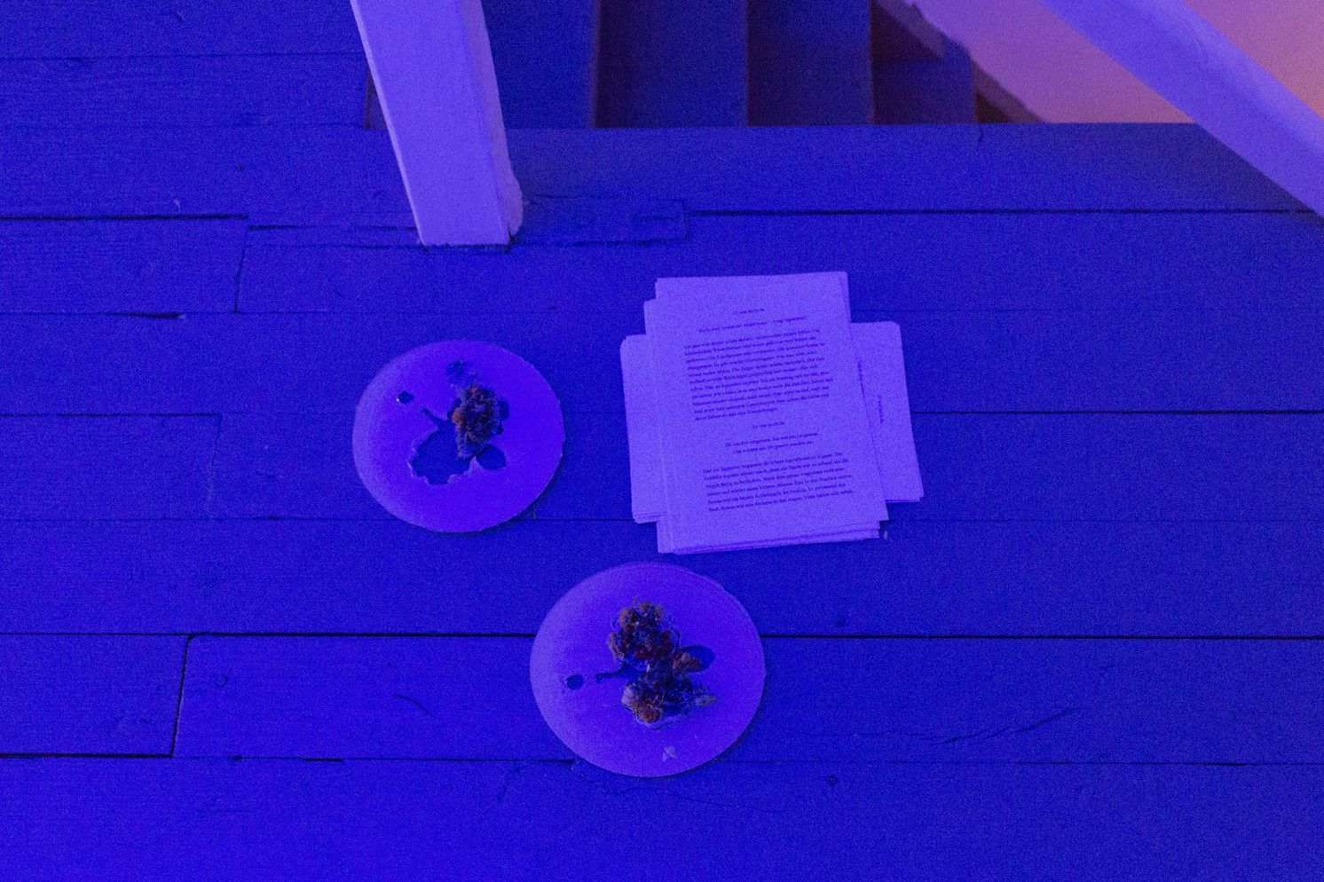 156483304707.jpg