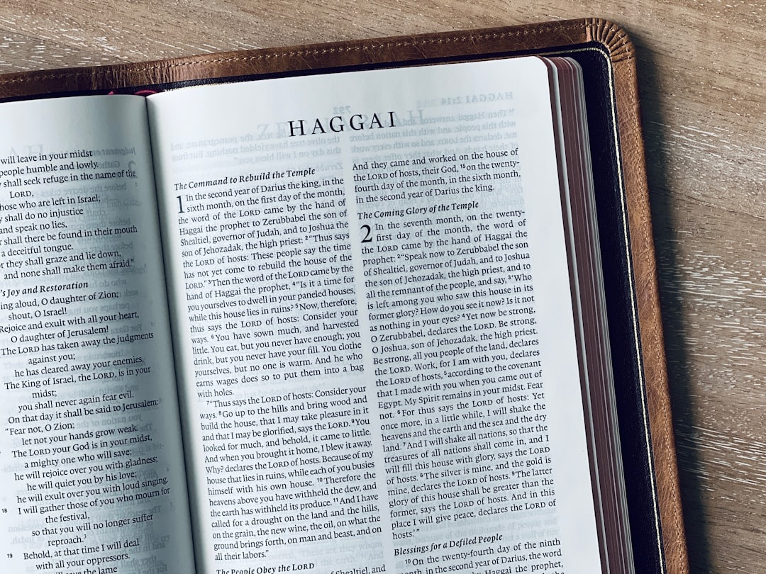 Using Sources and Avoiding Plagiarism Guide - academic writing - EverEssay Academic Writing Services