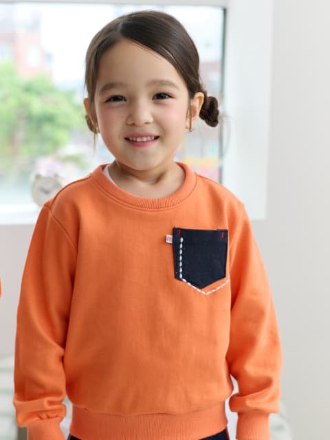태양