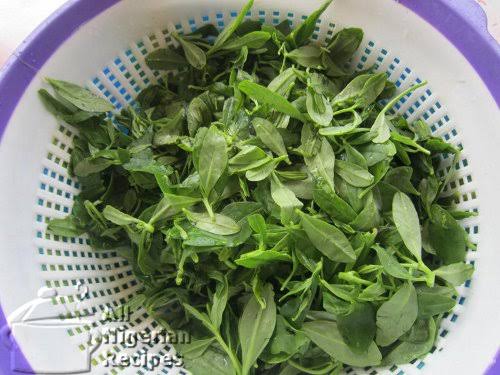 Afang Leaves (Fresh) - 500g