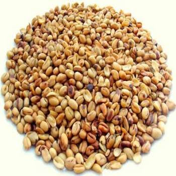 African Breadfruit Seeds (Ukwa) - 1kg