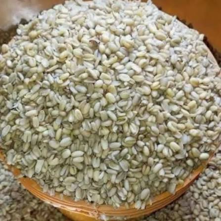 African Breadfruit Seeds (Ukwa) - 250g