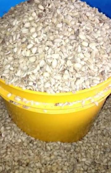 African Breadfruit Seeds (Ukwa) - 500g