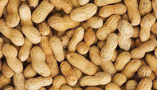 Groundnuts (Raw, Shelled) - 250g