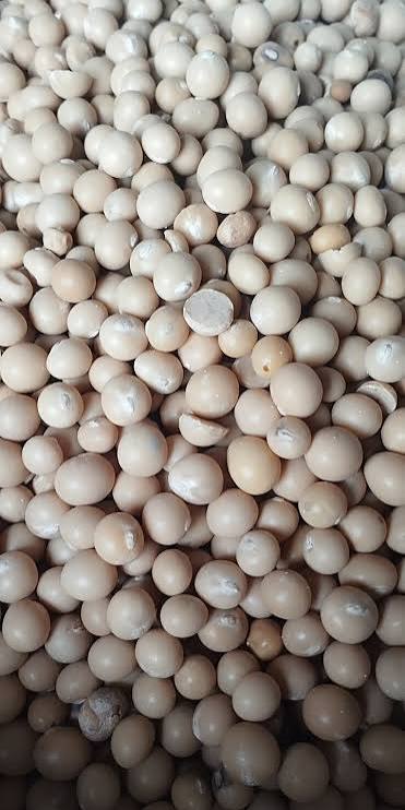 Bambara Nuts - 10kg
