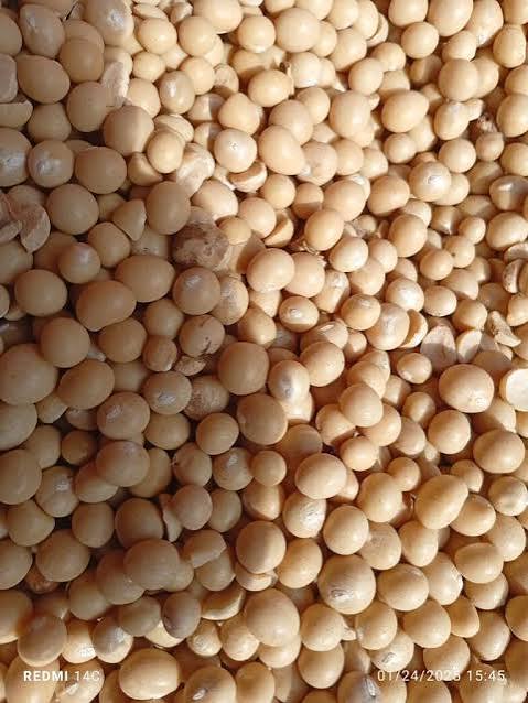 Bambara Nuts - 1kg