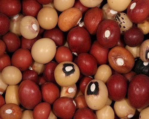 Bambara Nuts - 5kg