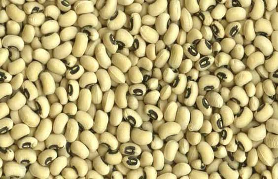 Black-Eyed Peas