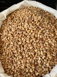 Brown Beans (Oloyin) - 5kg