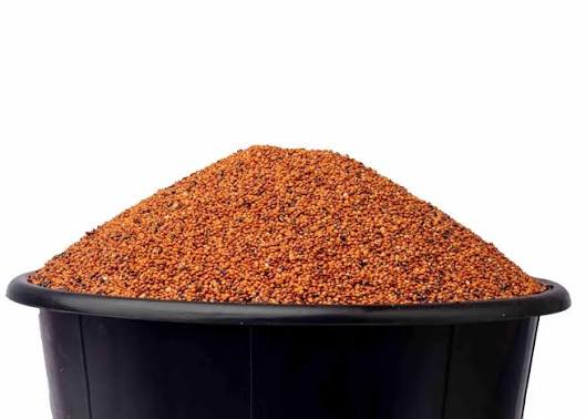 Sorghum (Guinea Corn) - 2kg