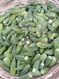 Okra (Paint Bucket