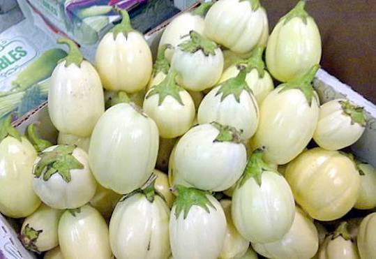 Garden Egg - White 4 L