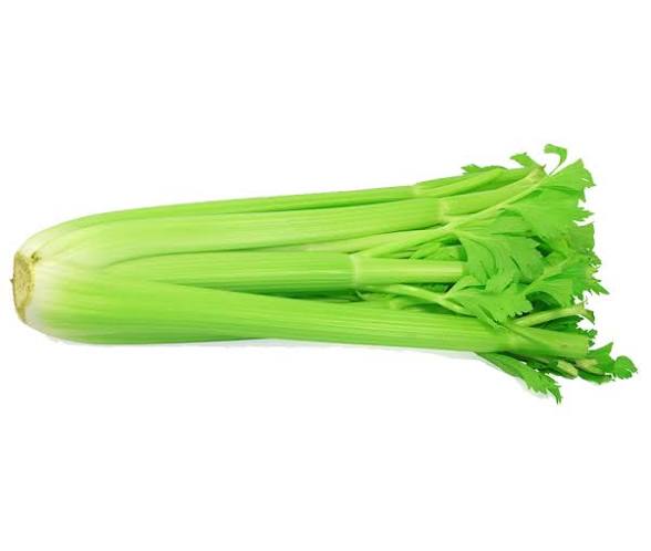 Celery Bundle x3 (Copy)