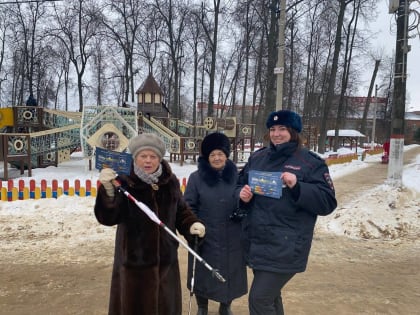 Сотрудники Госавтоинспекции Павловского Посада провели информационную акцию в городском парке