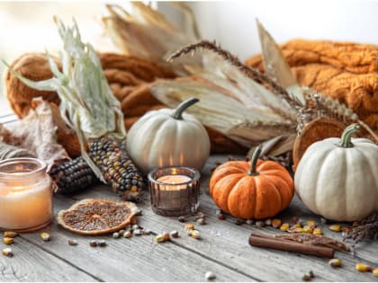 На фестивале «Осень в Рузе» в Рузском округе учили делать свечи и жарить сыр