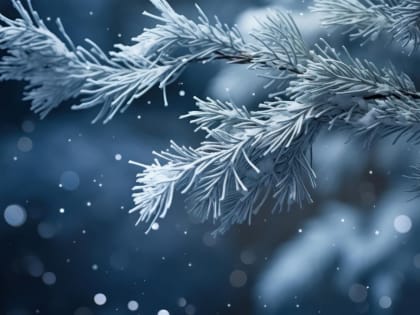 Погода в феврале: жителям Подмосковья рассказали, стоит ли ждать мороза и снегопадов