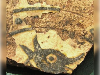 Археологи обнаружили золотоордынскую чашу под Звенигородом