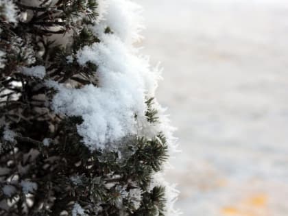 В столице продлили желтый уровень погодной опасности