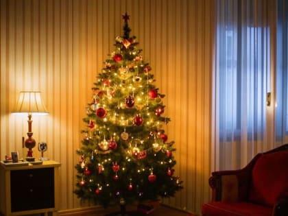 Люберчанам напомнили о правилах пожарной безопасности в новогодние праздники