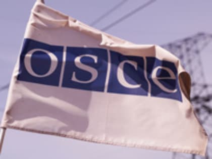 Прошедшая сессия ПА ОБСЕ больше напоминала заседание в Раде