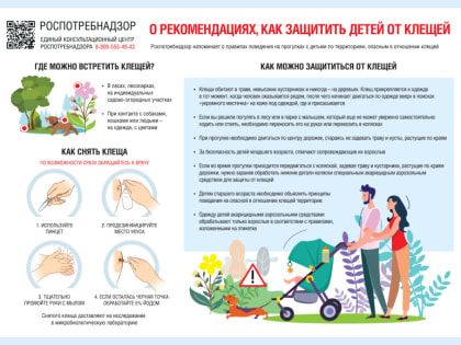 Как защитить детей от клещей, рассказали специалисты  Роспотребнадзора