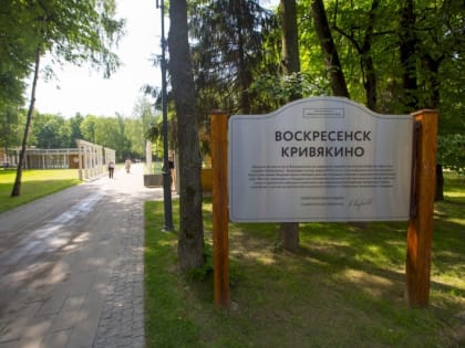 В парках Воскресенска созданы условия для привлечения малого бизнеса