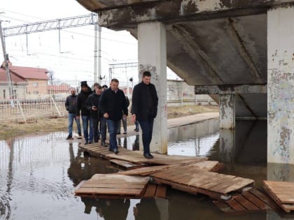 Партийцы совершили объезд городского округа Павловский Посад