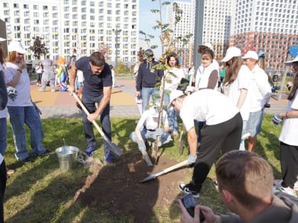 Акция по высадке деревьев в Люберцах