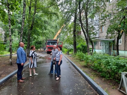 Партийный контроль в Балашихе