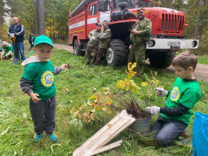 Лицеисты высадили аллею из 50 молодых дубов в городе Орехово-Зуево
