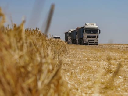 Выход из зерновой сделки потенциально может принести России больше 1 млрд долларов