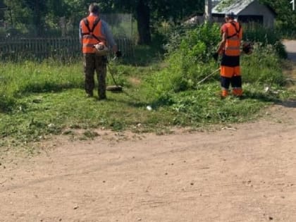 В Рузском округе окашивают территории