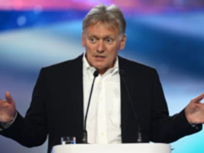 Песков: разработчики экономической политики РФ имеют доступ ко всем необходимым данным