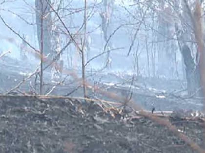 Тракторист лесопожарной службы погиб во время тушения пожара в Забайкалье