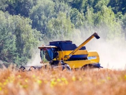 Около полутора тонны масличных культур собрали в подмосковной Кашире