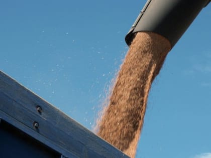 Минобороны РФ: СБУ хочет взорвать зернохранилище в Харьковской области для обвинения России