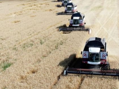 Аналитик назвал самые перспективные направления экспорта российского зерна