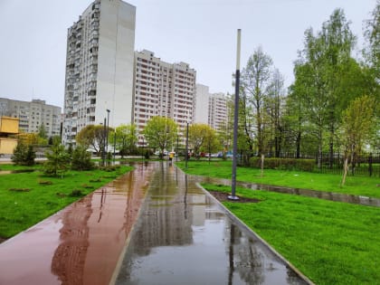 Облачная погода и до +12 градусов ожидается в Московском регионе во вторник